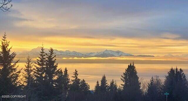 https://bt-photos.global.ssl.fastly.net/alaska/orig_boomver_3_25-13958-2.jpg