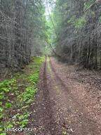 Tr A-5 Pomeroy Road - Photo 2