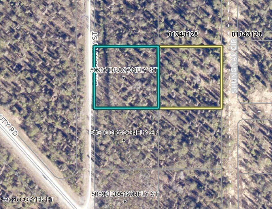 50930 Dragonfly Street - Photo 1