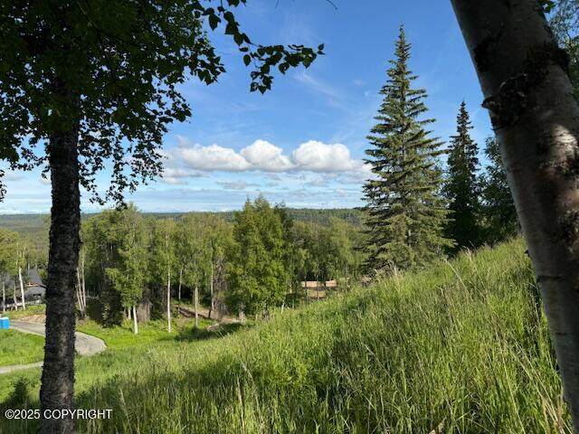 https://bt-photos.global.ssl.fastly.net/alaska/orig_boomver_2_25-8232-2.jpg