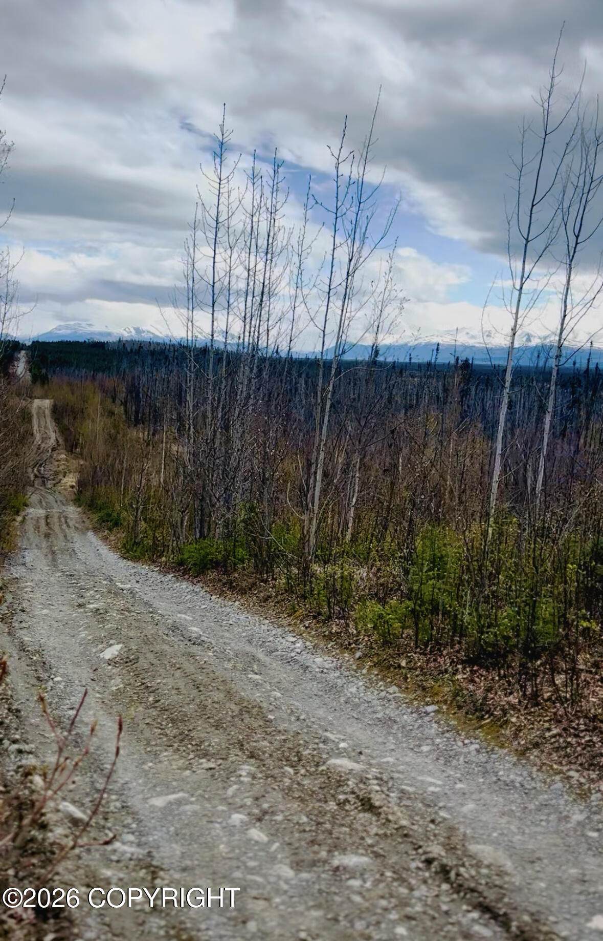 https://bt-photos.global.ssl.fastly.net/alaska/orig_boomver_2_26-6101-2.jpg
