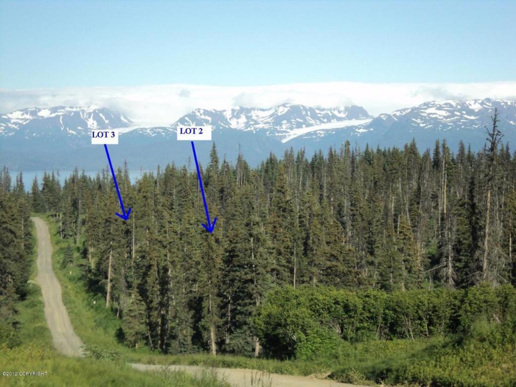 L3 Eagle Aerie - Photo 1