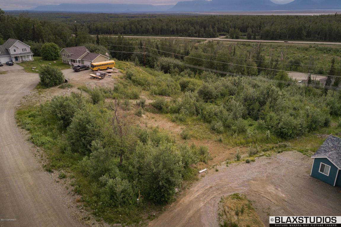 7848 Mustafa Circle - Photo 1