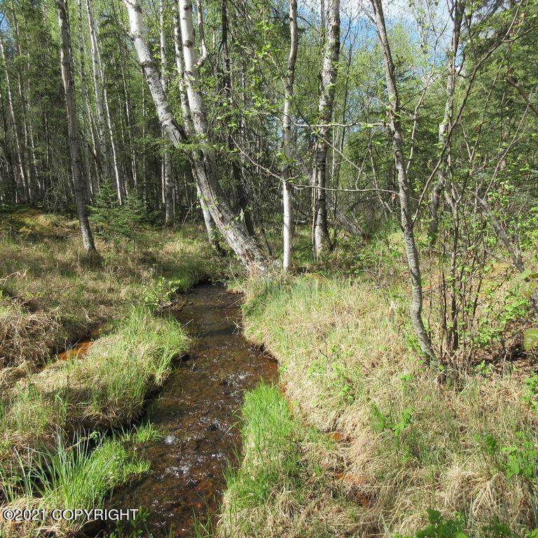 Tract C Meadow Lakes Loop - Photo 1