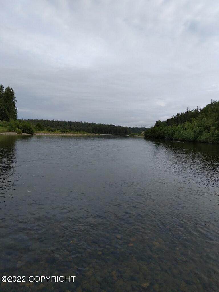 000 Talachulitna River - Photo 1