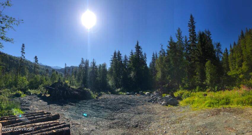 NHN Mosquito Lake Road Road - Photo 1