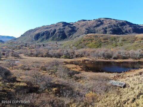 L4 Kizhuyak Bay - Photo 1