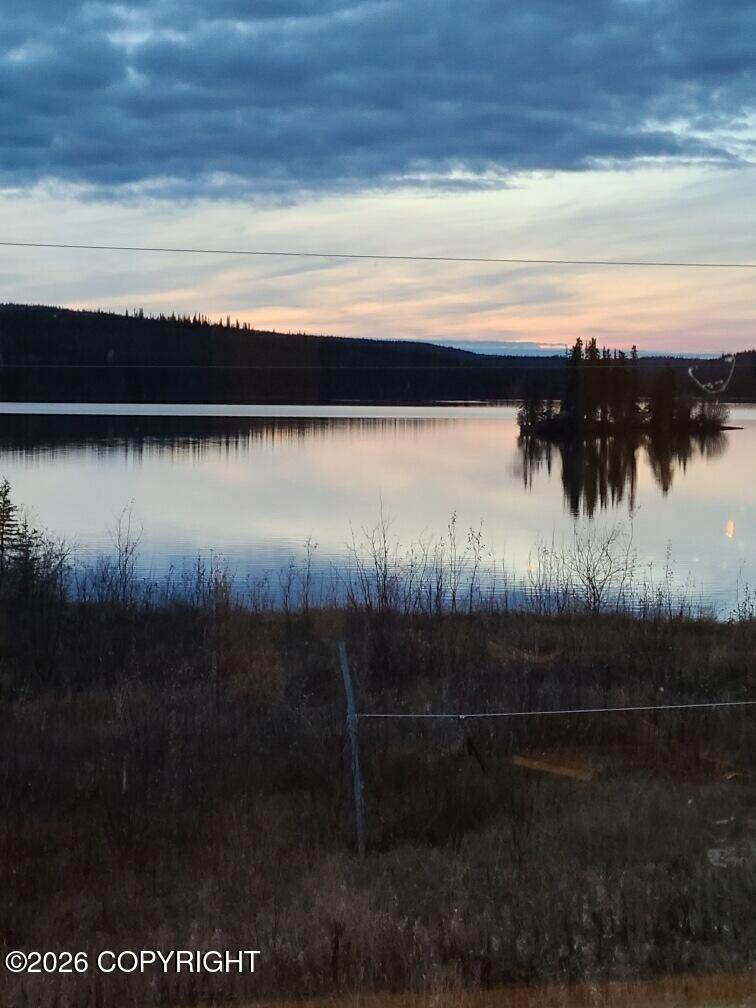 L11 Tolsona Lake Road - Photo 1