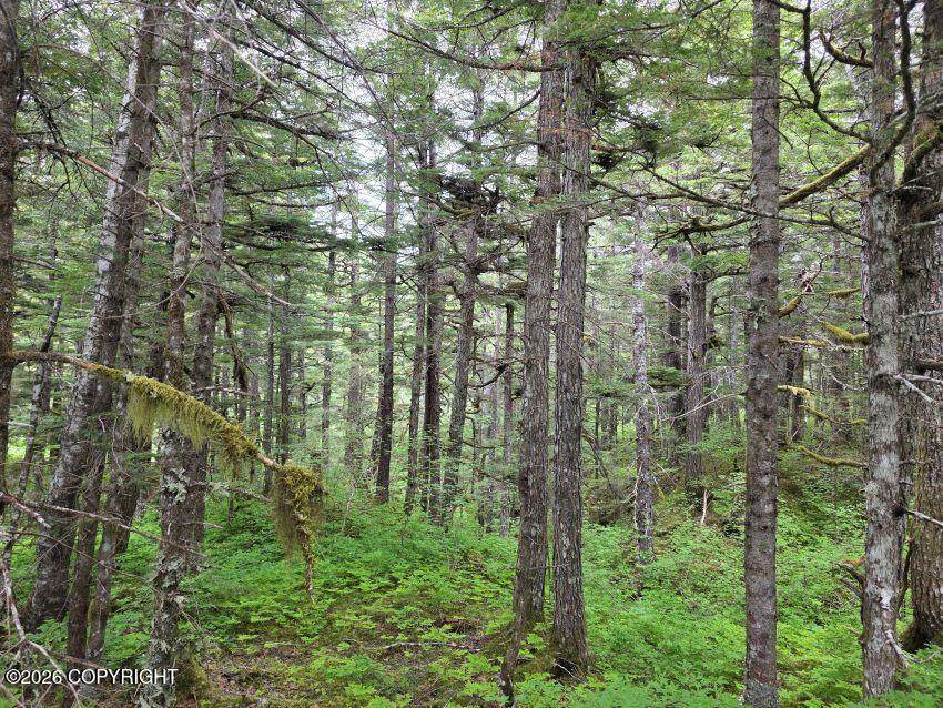 https://bt-photos.global.ssl.fastly.net/alaska/orig_boomver_2_26-4362-2.jpg