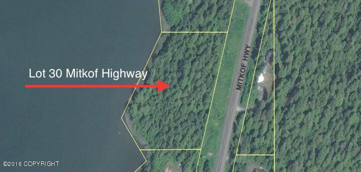 964 Mitkof Highway - Photo 1