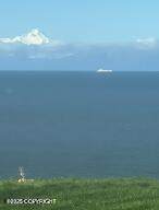 67480 Halibut Road - Photo 9