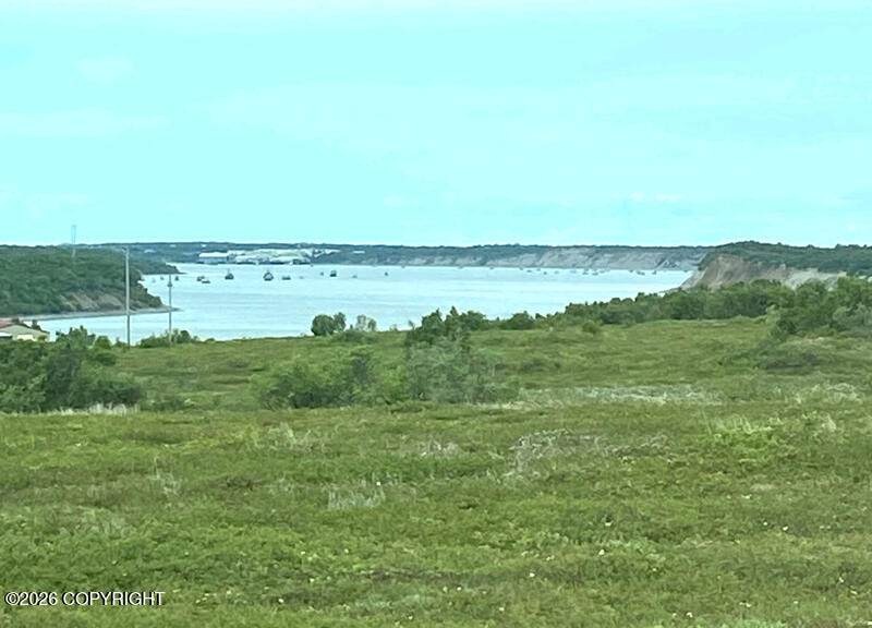 81 Lynx Loop - Photo 1
