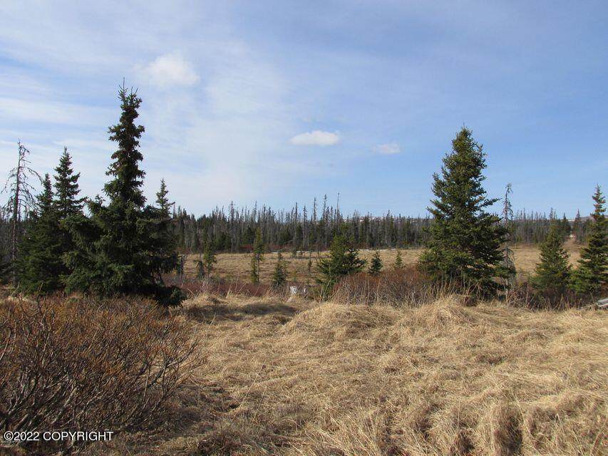 L5B B2 Caribou Homestead Loop - Photo 1