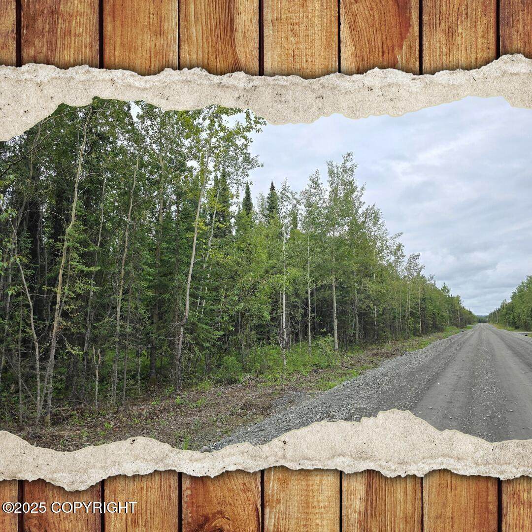 34415 Lourdes Avenue - Photo 1