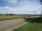 1071 White Chandler Road - Photo 6