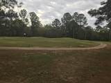 1811 River Pointe Drive - Photo 4