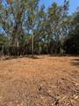 103 Graves Springs Road - Photo 4