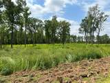 3037 Paul Robinson Road - Photo 2