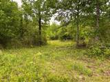 3037 Paul Robinson Road - Photo 5
