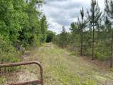 3037 Paul Robinson Road - Photo 6