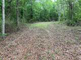3037 Paul Robinson Road - Photo 9