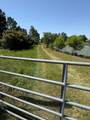 2329 Evergreen Drive - Photo 11