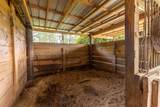 130 Winifred Rd - Photo 39