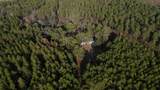 237 Thundering Springs Road - Photo 57