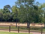 1048 Philema Road S - Photo 81