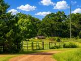 2062 Betty Wise Road - Photo 28