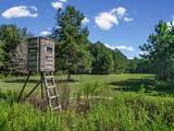 346 Dixie Road - Photo 87