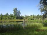 139 River Bridge Drive - Photo 8