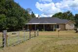 130 Winifred Rd - Photo 6