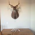 886 Mounds Rd - Photo 57