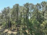 978 Lovers Lane - Photo 22