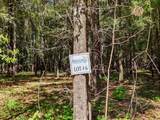 Lot 6 Hidden Lakes Drive - Photo 7