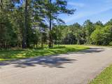 Lot 14 Hidden Lakes Drive - Photo 7