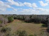 3100 Harvest Lane - Photo 11
