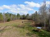 3100 Harvest Lane - Photo 15