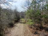 3100 Harvest Lane - Photo 16