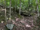 555 Mountain Brook Road - Photo 6