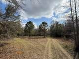 3100 Harvest Lane - Photo 1