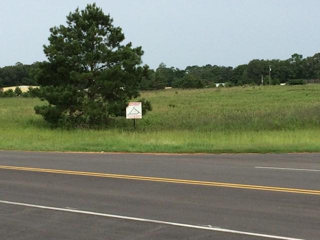 LT 4& 5 Us Hwy 19 Bypass - Photo 1