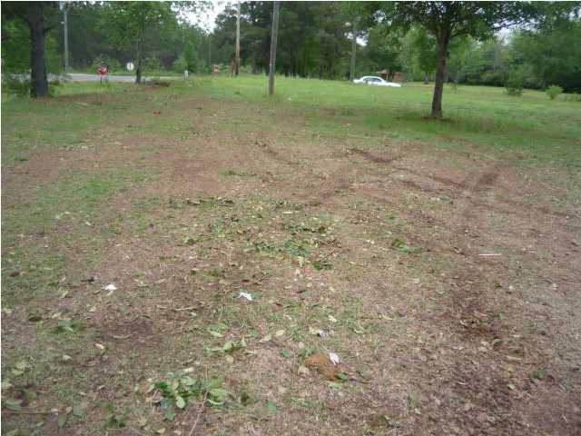 3221 New Hope Rd - Photo 1