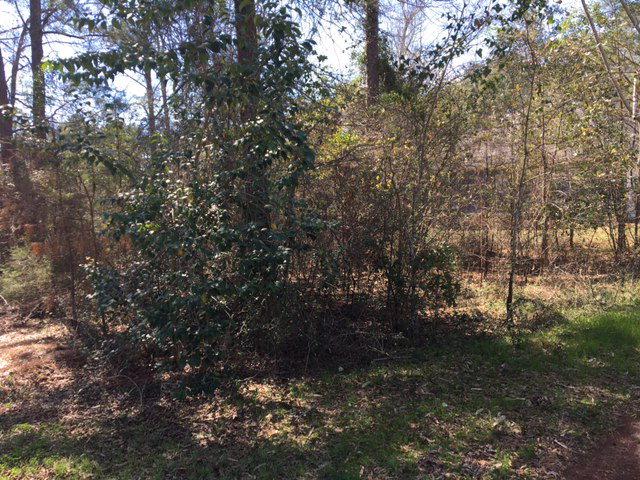 3432 Bellingham Ln - Photo 1