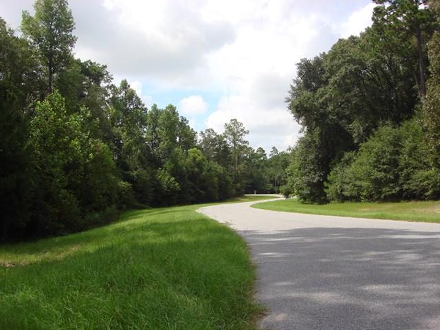 Lot 24 Woodlake Court - Photo 1