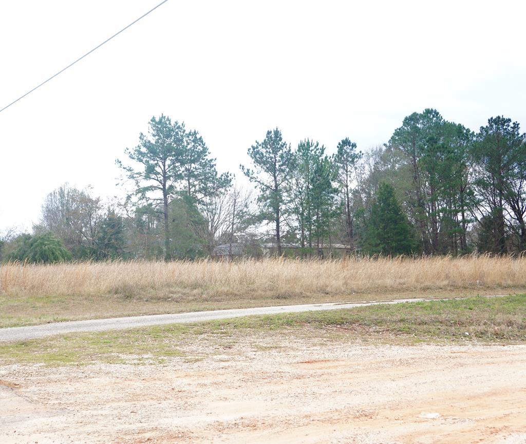 us 19 s Us Hwy 19 - Photo 1