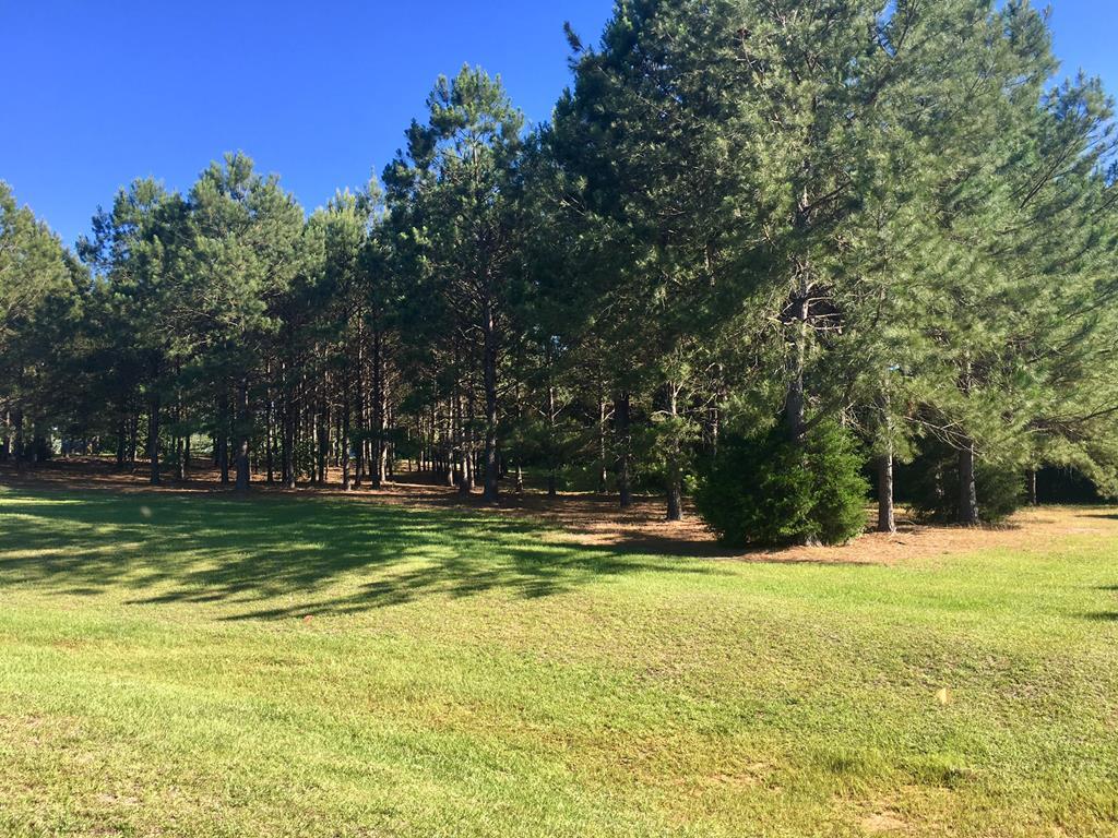 Lot 44 Delores Drive - Photo 1