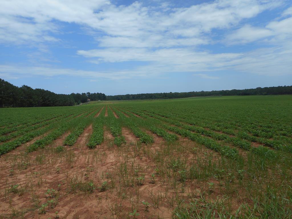 9114 Hwy 27 - Photo 1
