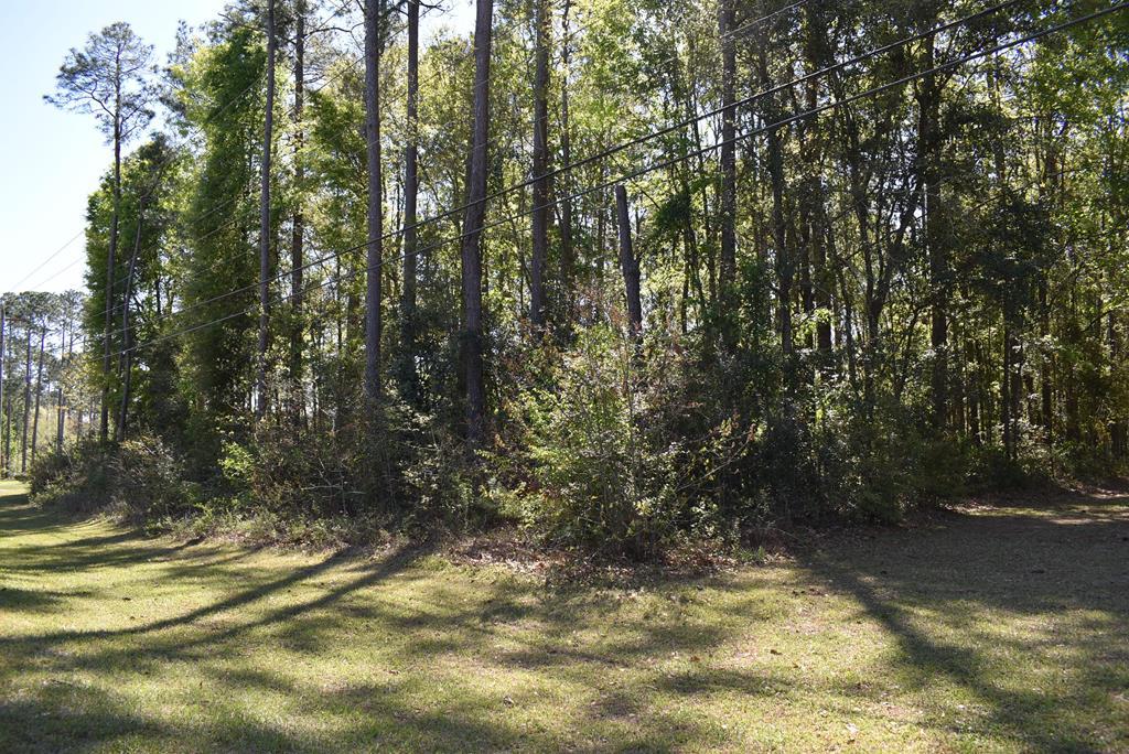 1402 Lily Pond Road - Photo 1